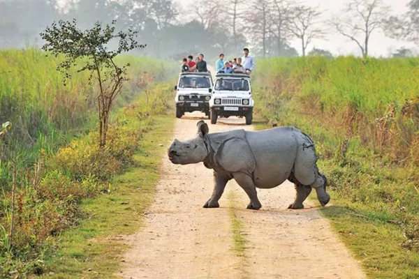 Kaziranga_JeepSafari