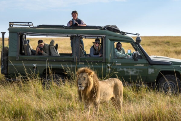 Masaimara-safaris