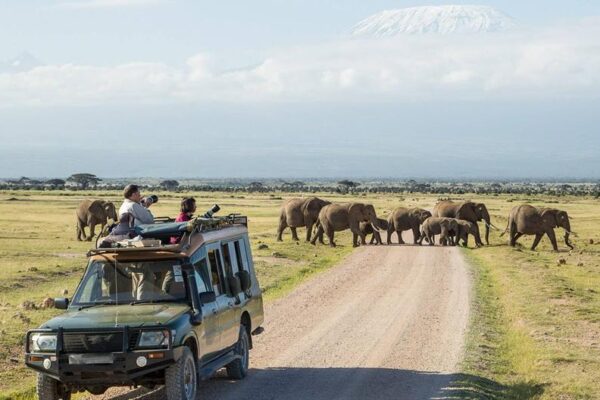 Nairobi to Amboselli